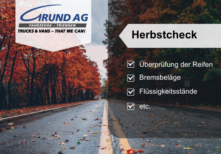 Ist Ihr LKW fit für Nebel, Laub & Wildwechsel?